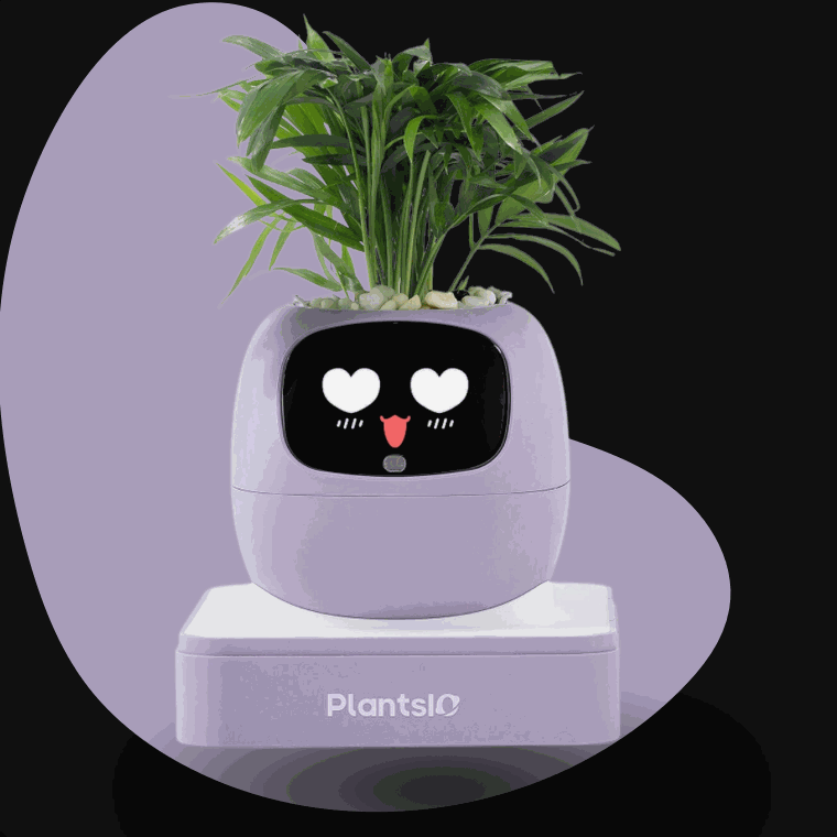 Ivy – Maceta Inteligente (Plantas Incluidas)