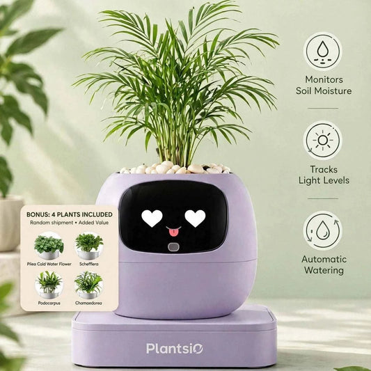 Smart Planter in lavender plastic with a smiling black face, palm plant, pebble topping and matching base