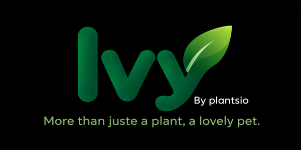 Ivy-Plantsio