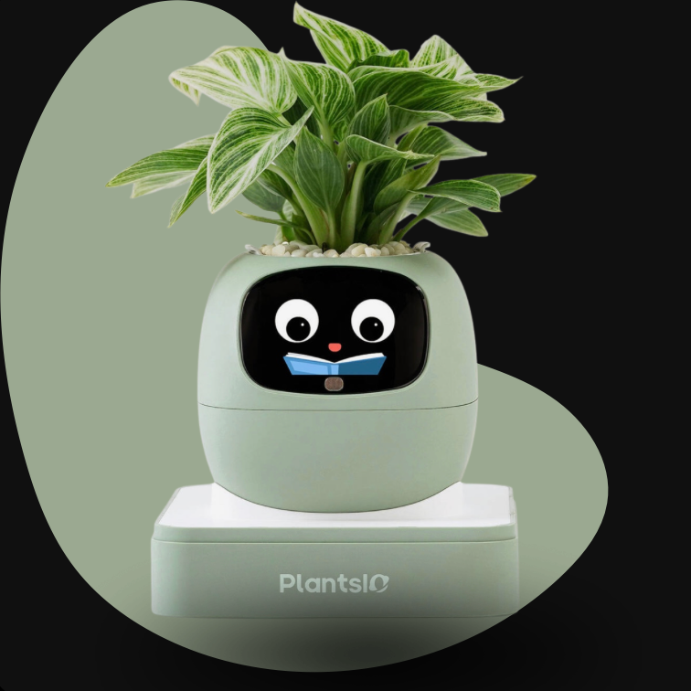 Ivy – Smart Flowerpot (Plants Included)