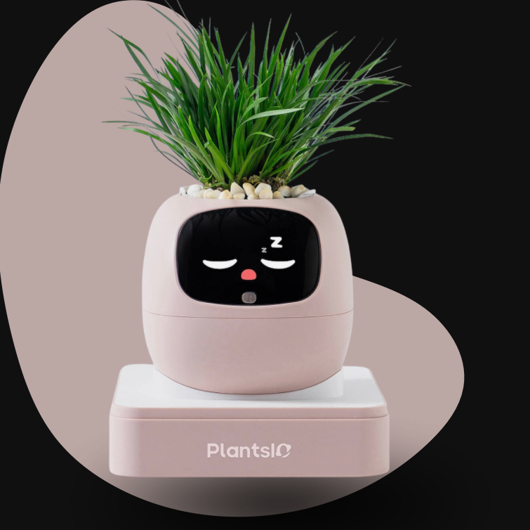 Ivy – Smart Flowerpot