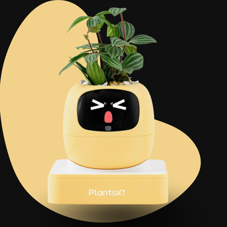 Ivy – Smart Flowerpot (Plants Included)