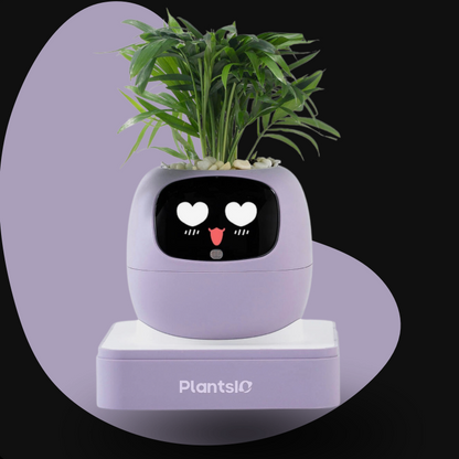 Ivy – Smart Flowerpot