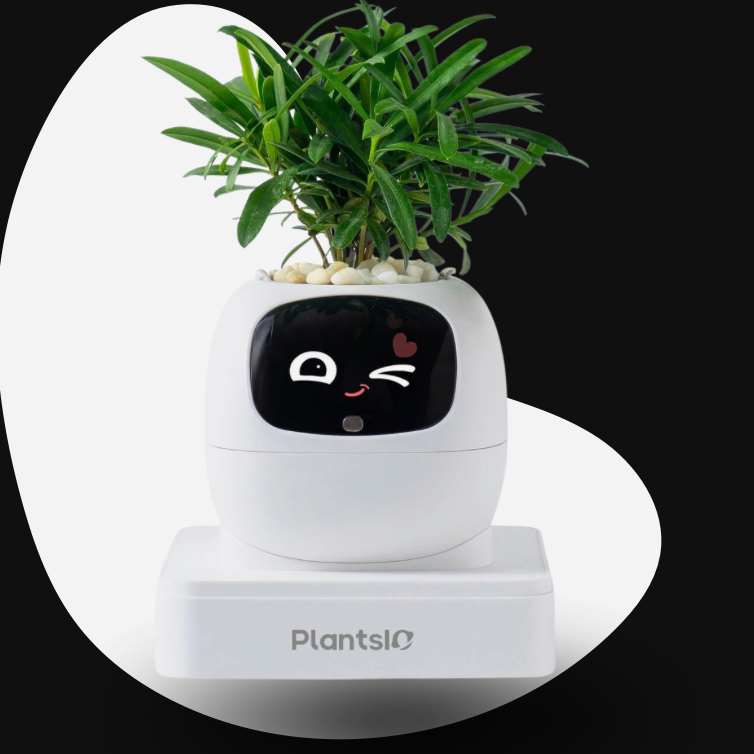 Ivy – Smart Flowerpot