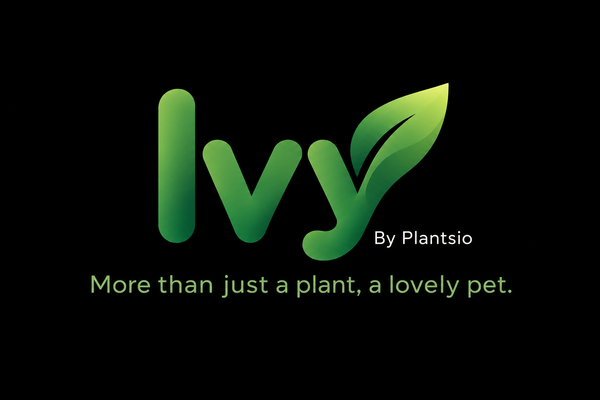Ivy-Plantsio