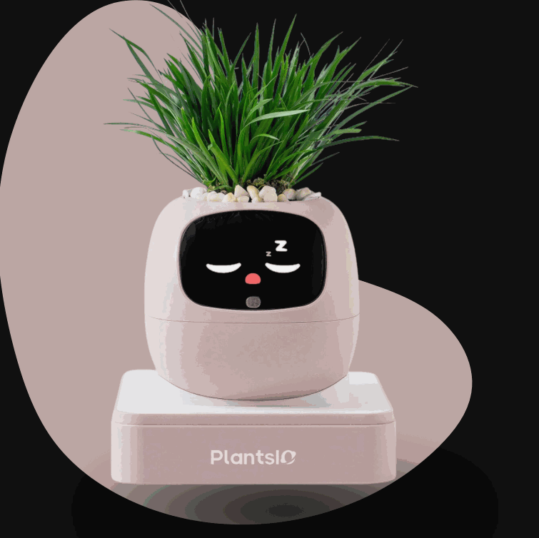 Ivy smart flowerpot for automatic plant watering and monitoring