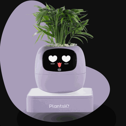 Ivy smart flowerpot monitoring plant moisture and light