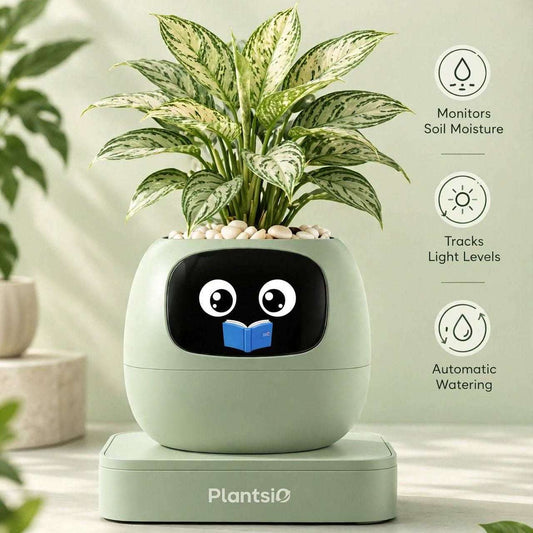 Smart Planter in pale mint green with a glossy black cartoon face, holding a leafy variegated plant and featuring a matching base.