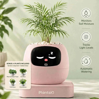 Smart Planter in pink with a rounded sensor face, green palm plant, automatic watering base, and four plants included