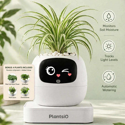 Smart Planter with a white rounded pot, black animated face display and green leafy plant in white pebbles